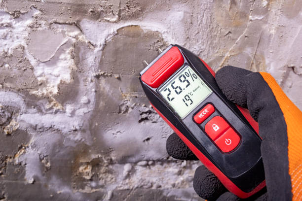 Best HVAC Mold Remediation in Dixmoor, IL
