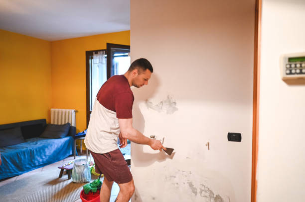 Best Residential Mold Remediation in Dixmoor, IL